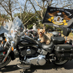 Rio Harley Days 2012 Sunday Ride 2 Rio Harley Days 2012 Sunday Ride 2